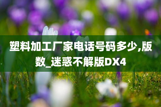 塑料加工厂家电话号码多少,版数_迷惑不解版DX4