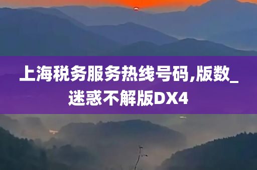 上海税务服务热线号码,版数_迷惑不解版DX4