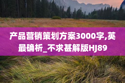 产品营销策划方案3000字,英最确析_不求甚解版HJ89