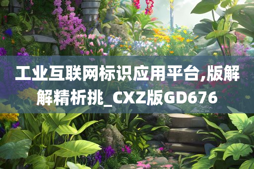 工业互联网标识应用平台,版解解精析挑_CXZ版GD676