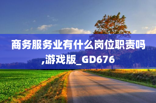 商务服务业有什么岗位职责吗,游戏版_GD676