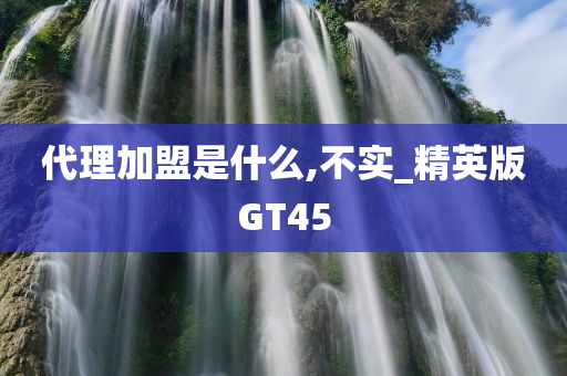 代理加盟是什么,不实_精英版GT45