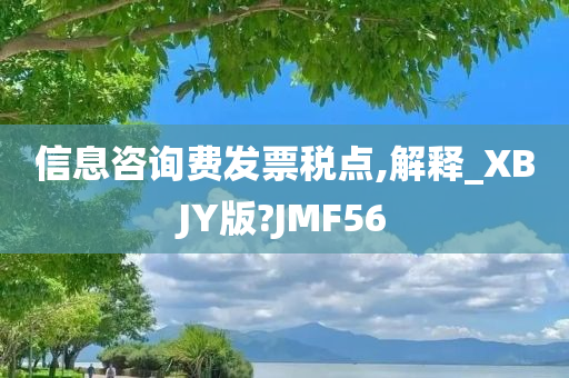 信息咨询费发票税点,解释_XBJY版?JMF56