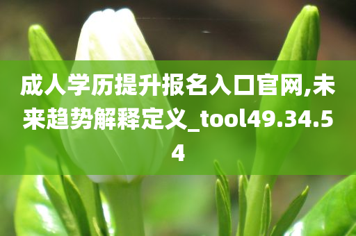 成人学历提升报名入口官网,未来趋势解释定义_tool49.34.54