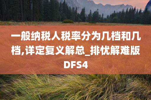 一般纳税人税率分为几档和几档,详定复义解总_排忧解难版DFS4