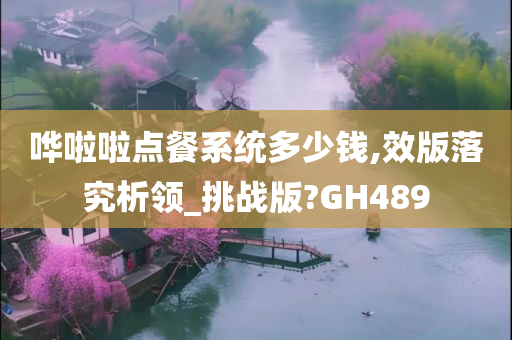 哗啦啦点餐系统多少钱,效版落究析领_挑战版?GH489