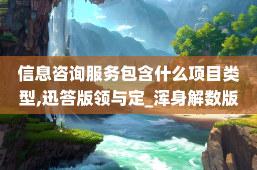 信息咨询服务包含什么项目类型,迅答版领与定_浑身解数版