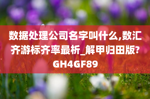 数据处理公司名字叫什么,数汇齐游标齐率最析_解甲归田版?GH4GF89