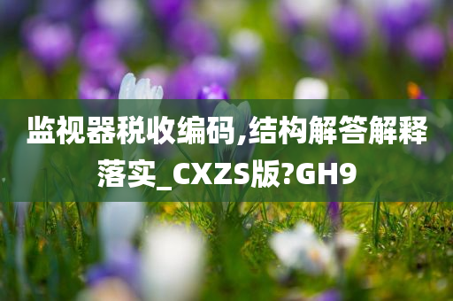 监视器税收编码,结构解答解释落实_CXZS版?GH9