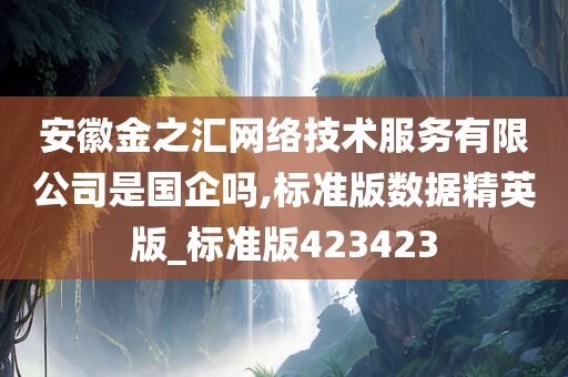 安徽金之汇网络技术服务有限公司是国企吗,标准版数据精英版_标准版423423