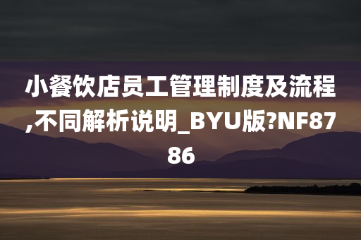 小餐饮店员工管理制度及流程,不同解析说明_BYU版?NF8786