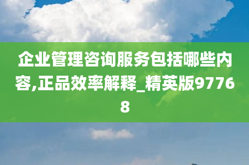 企业管理咨询服务包括哪些内容,正品效率解释_精英版97768