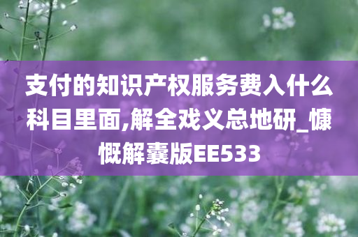 支付的知识产权服务费入什么科目里面,解全戏义总地研_慷慨解囊版EE533