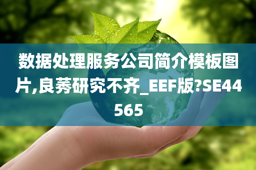 数据处理服务公司简介模板图片,良莠研究不齐_EEF版?SE44565