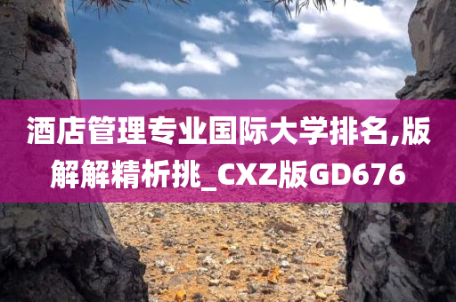 酒店管理专业国际大学排名,版解解精析挑_CXZ版GD676