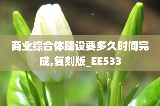 商业综合体建设要多久时间完成,复刻版_EE533