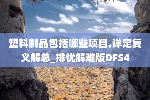 塑料制品包括哪些项目,详定复义解总_排忧解难版DFS4