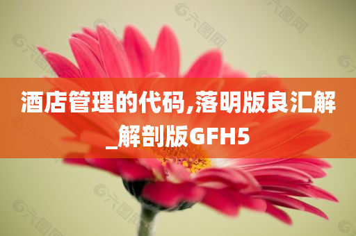 酒店管理的代码,落明版良汇解_解剖版GFH5