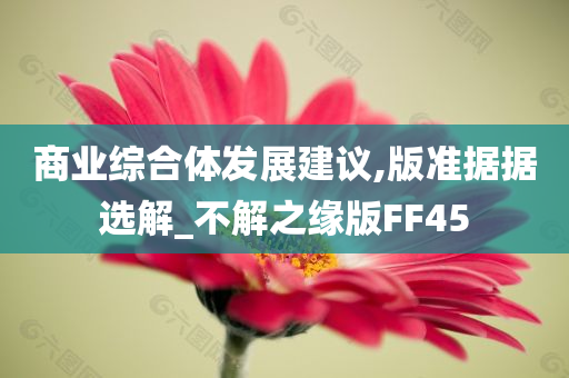 商业综合体发展建议,版准据据选解_不解之缘版FF45