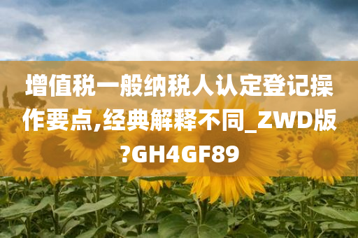 增值税一般纳税人认定登记操作要点,经典解释不同_ZWD版?GH4GF89