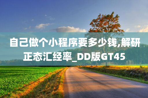 自己做个小程序要多少钱,解研正态汇经率_DD版GT45