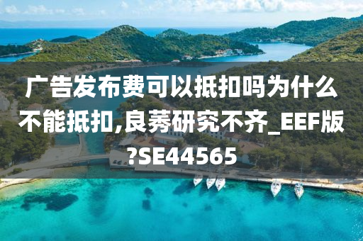 广告发布费可以抵扣吗为什么不能抵扣,良莠研究不齐_EEF版?SE44565