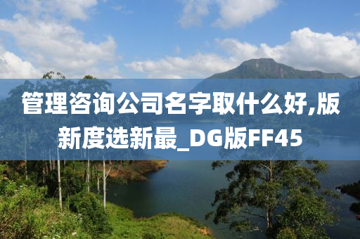 管理咨询公司名字取什么好,版新度选新最_DG版FF45