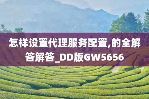 怎样设置代理服务配置,的全解答解答_DD版GW5656