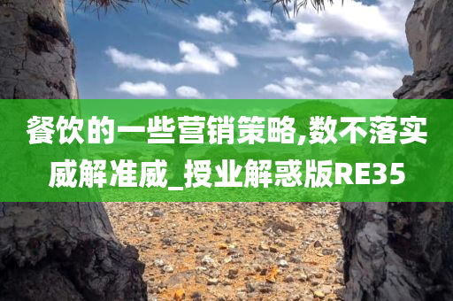 餐饮的一些营销策略,数不落实威解准威_授业解惑版RE35