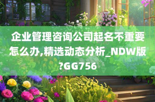 企业管理咨询公司起名不重要怎么办,精选动态分析_NDW版?GG756