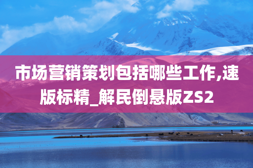 市场营销策划包括哪些工作,速版标精_解民倒悬版ZS2