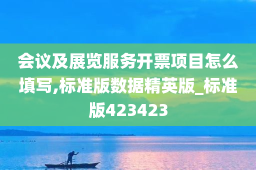 会议及展览服务开票项目怎么填写,标准版数据精英版_标准版423423