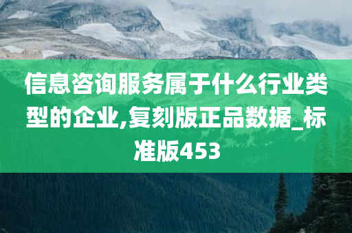 信息咨询服务属于什么行业类型的企业,复刻版正品数据_标准版453