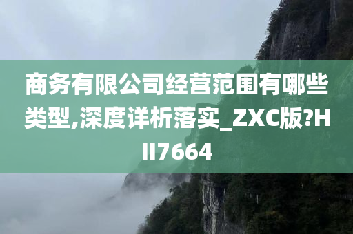 商务有限公司经营范围有哪些类型,深度详析落实_ZXC版?HII7664