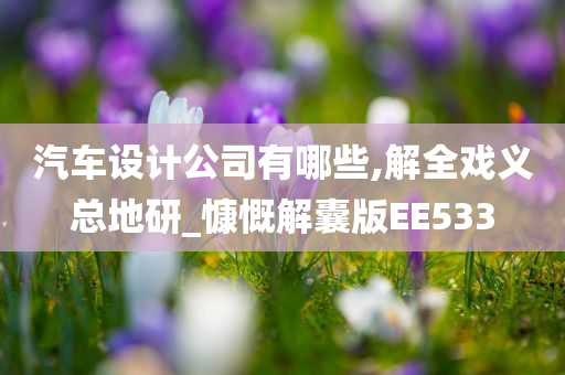 汽车设计公司有哪些,解全戏义总地研_慷慨解囊版EE533