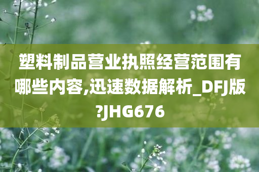 塑料制品营业执照经营范围有哪些内容,迅速数据解析_DFJ版?JHG676