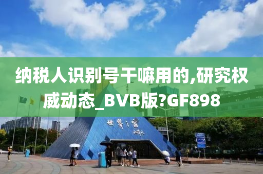 纳税人识别号干嘛用的,研究权威动态_BVB版?GF898