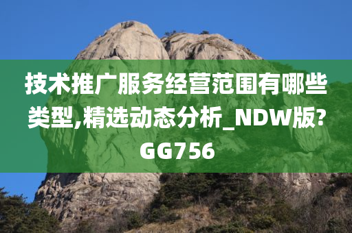 技术推广服务经营范围有哪些类型,精选动态分析_NDW版?GG756