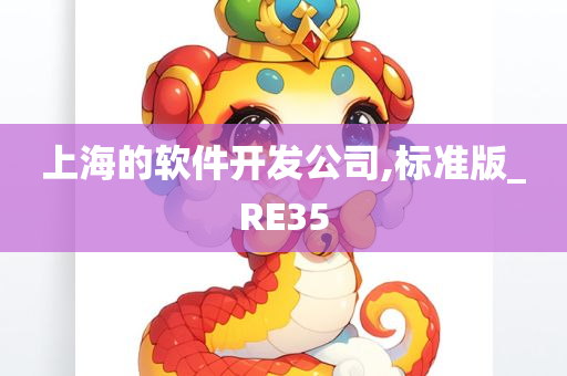 上海的软件开发公司,标准版_RE35