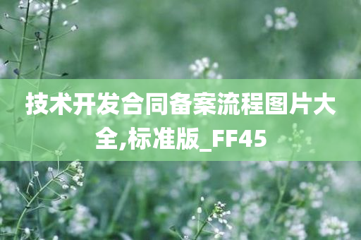 技术开发合同备案流程图片大全,标准版_FF45