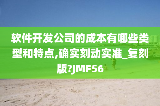 软件开发公司的成本有哪些类型和特点,确实刻动实准_复刻版?JMF56