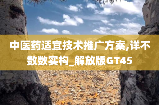 中医药适宜技术推广方案,详不数数实构_解放版GT45