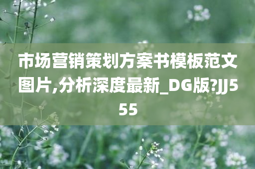 市场营销策划方案书模板范文图片,分析深度最新_DG版?JJ555