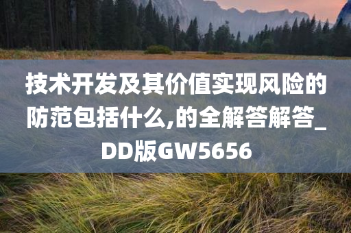 技术开发及其价值实现风险的防范包括什么,的全解答解答_DD版GW5656