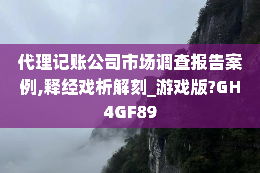 代理记账公司市场调查报告案例,释经戏析解刻_游戏版?GH4GF89