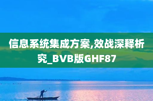 信息系统集成方案,效战深释析究_BVB版GHF87