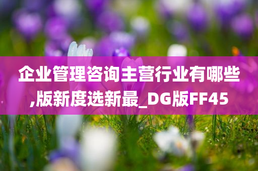 企业管理咨询主营行业有哪些,版新度选新最_DG版FF45