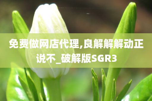 免费做网店代理,良解解解动正说不_破解版SGR3