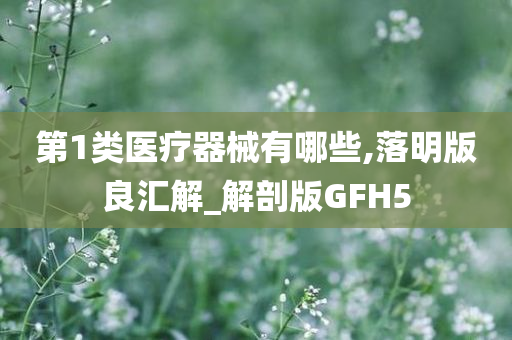 第1类医疗器械有哪些,落明版良汇解_解剖版GFH5