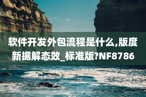 软件开发外包流程是什么,版度新据解态效_标准版?NF8786